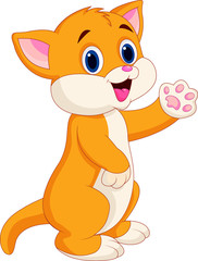 Cute baby cat cartoon