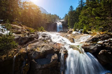 Zelfklevend Fotobehang Fast river in mountain forest with little waterfall © Nejron Photo