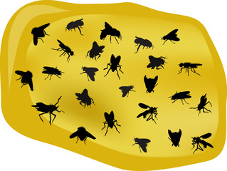 fly silhouettes in yellow pool