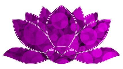 lotus violet cercle