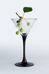 Unripe green cherry in martini glass