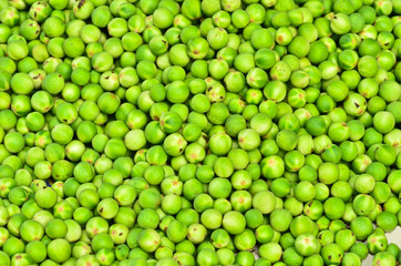 Pea eggplant