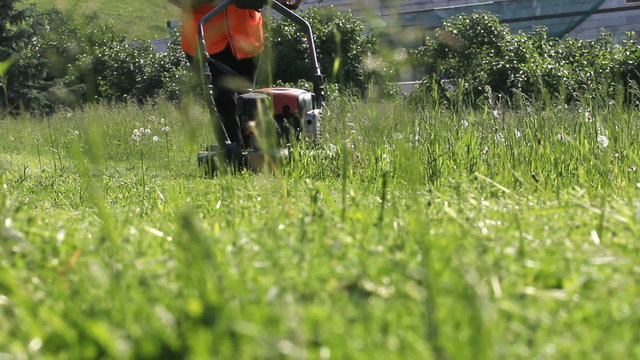 Garden worker cutting grass with lawn mower weeding machine