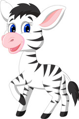 Cute baby zebra cartoon © tigatelu
