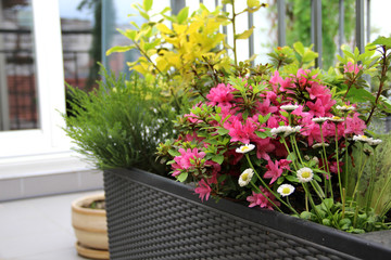 Modern terrace with a lot of flowers