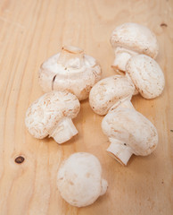 Mushroom