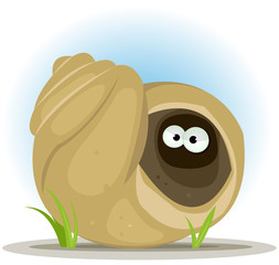 Cartoon Animal Eyes Inside Shell