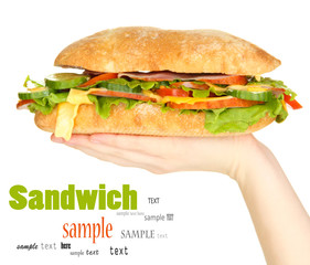 Fresh and tasty sandwich with ham and vegetables in hands
