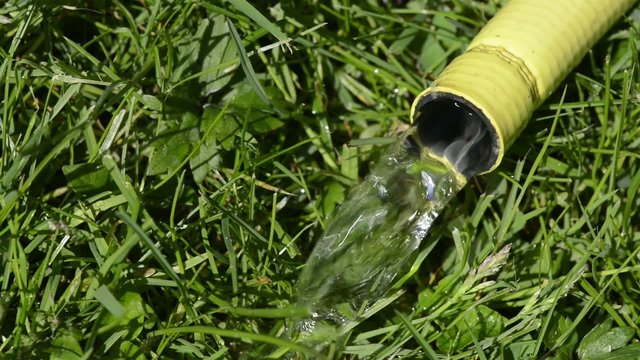 Wasserschlauch