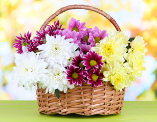 Fototapeta na wymiar Bouquet of beautiful chrysanthemums in wicker basket