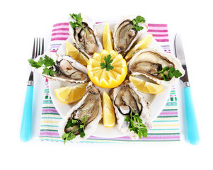 Oysters isolated on white