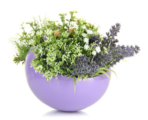 Pot with flowers isolated on white