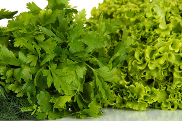 Useful herbs close up