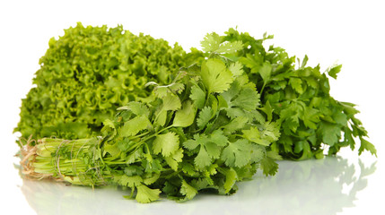Useful herbs isolated on white