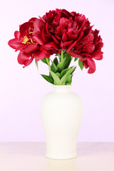 Beautiful peonies in vase on table on white background