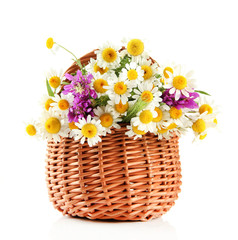 Fototapeta na wymiar Beautiful wild flowers in basket, isolated on white
