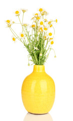 Small chamomiles in vase isolated on white