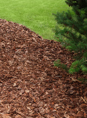 Rindenmulch und Rasen