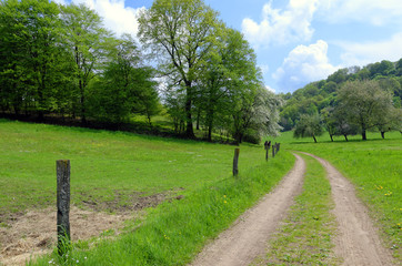 countryside lane