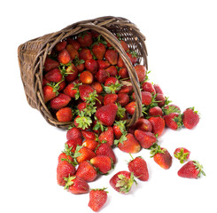 Poured from wicker baskets strawberries on a white background