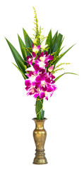 Orchid in brass vase on white background