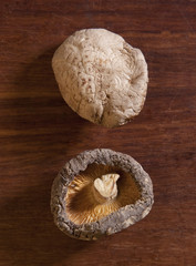 Shitake Mushrooms on wood