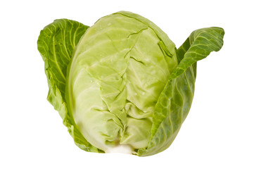 Fototapeta premium Green cabbage