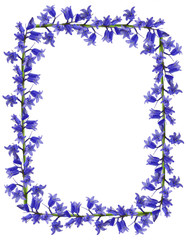 Fototapeta na wymiar Blue flowers frame