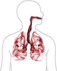 Smoke formation shaped as lungs. Illustration of cancer