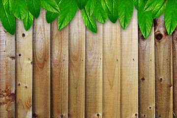 Green leaves on the wooden planks texture