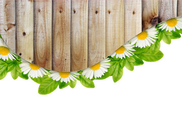 Daisies, green leaves and wooden plank border