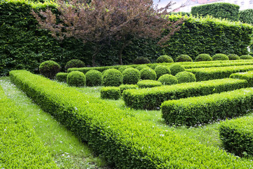 Garden with Topiary Landscaping