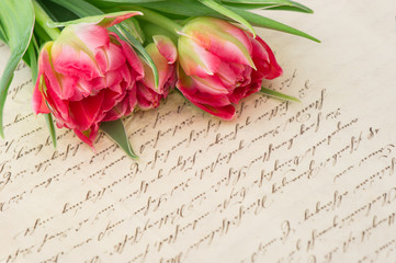 soft pink tulips with old handwritten love letter