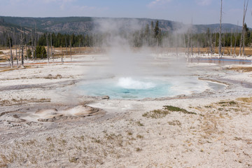 Thermal Pool