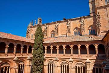 Fototapeta premium Cloister of the cathedral of Salamanca