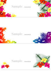 ハイビスカス　背景