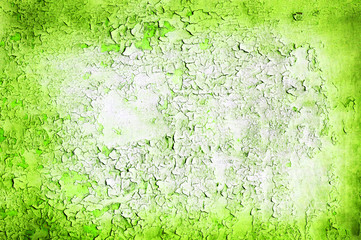 Green grunge wall texture or background