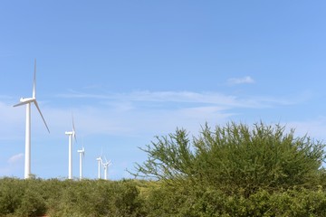 Wind turbines on the Guajira Peninsula