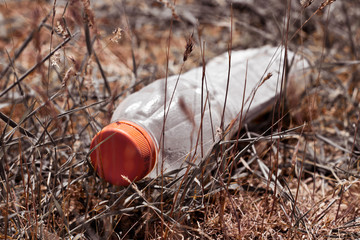 plastic bottle in the grass like garbage