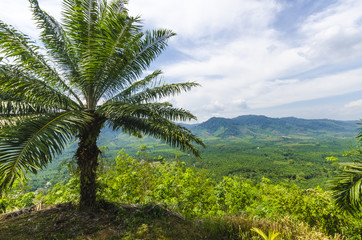Fototapeta na wymiar Widok na góry i równiny południowej Tajlandii