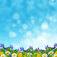 Fototapeta premium Field of different flowers and leaves on the sky background