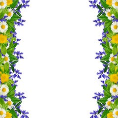 Frame: different colorful flowers