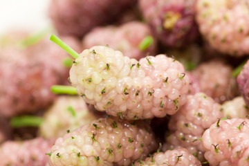 mulberry berry as background