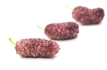 mulberry berry on a white background