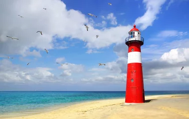  Lighthouse with flying seagulls. Westkapelle © Marina Ignatova