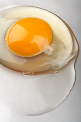 Organic egg yolk closeup