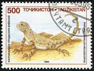 stamp printed in Tajikistan shows a Sunwatcher Toadhead Agama