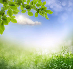 Abstract spring background