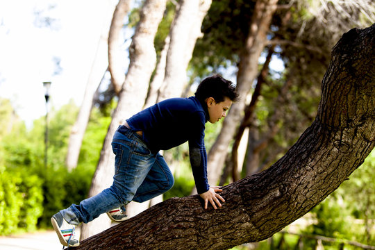 Bambino che sale sull'albero