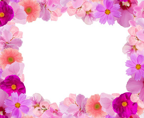 decoration from pink flowers frame isolated on white